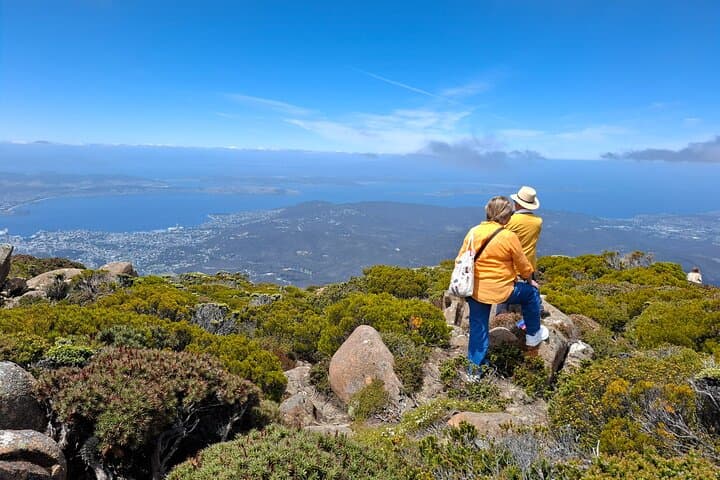 Hobart Highlights and kunanyi (Mount Wellington) Shore Excursion: Salamanca, Battery Point & Summit Views photo 5