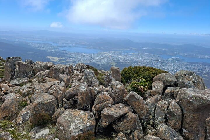 Bonorong Wildlife and Richmond Heritage Day Tour from Hobart photo 6