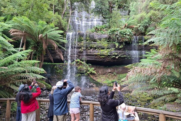 Mt Field Shore Excursion to Russell Falls — Guided Rainforest Walk from Hobart photo 5