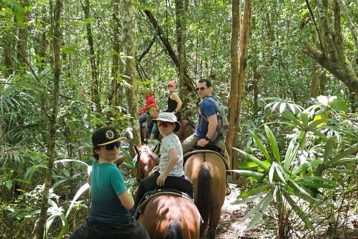 Belize Jungle Horseback Riding Cruise Excursion — Ranch Ride, Creek Crossings & Picnic Lunch photo 4
