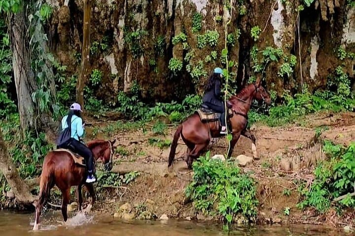 Belize Jungle Horseback Riding Cruise Excursion — Ranch Ride, Creek Crossings & Picnic Lunch photo 2