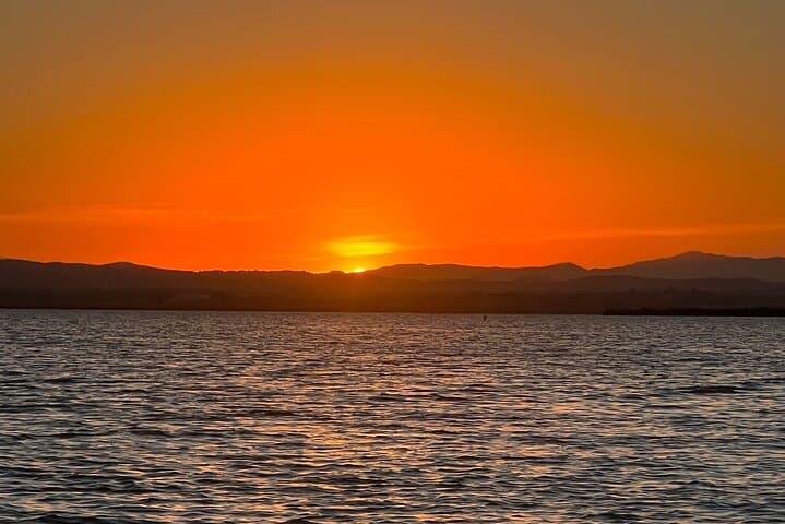 Albufera Boat Ride & Authentic Paella from Valencia — Birdwatching & Sunset Tour photo 5
