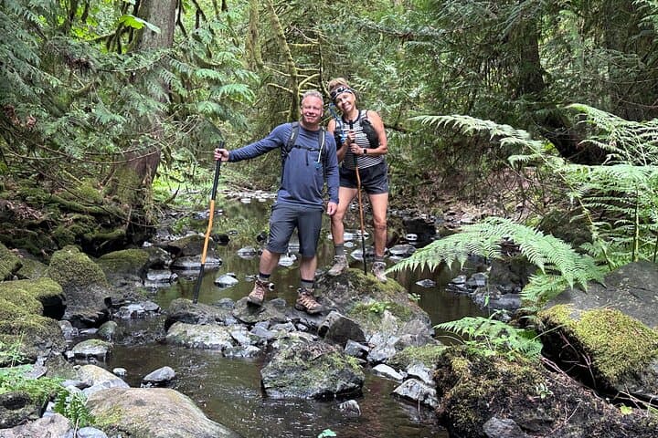 Twigs, Trails and Ales: Vancouver Island Hike with Pub Finale photo 6