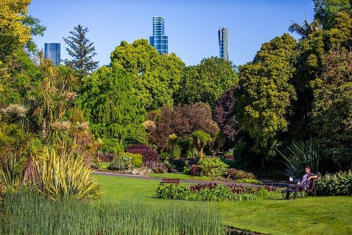 Melbourne Gardens Explorer: 30-Min Open-Air Minibus Tour of Royal Botanic Gardens photo 3