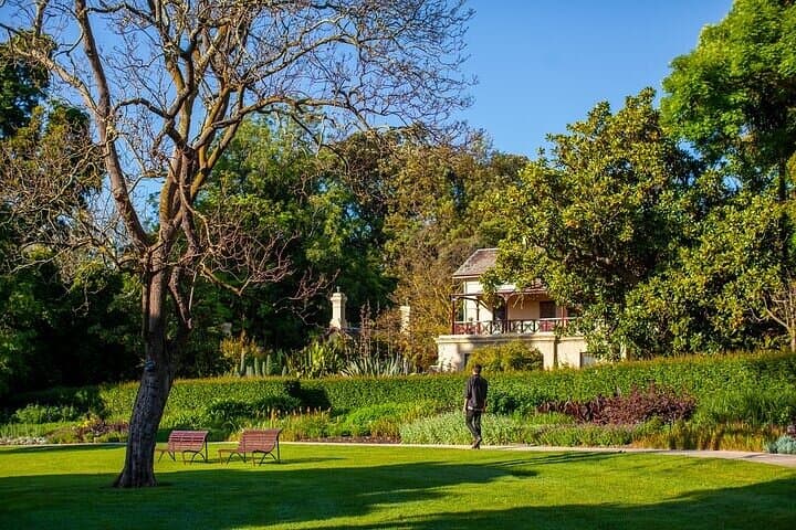 Melbourne Gardens Explorer: 30-Min Open-Air Minibus Tour of Royal Botanic Gardens photo 4