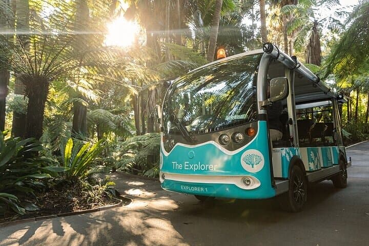 Melbourne Gardens Explorer: 30-Min Open-Air Minibus Tour of Royal Botanic Gardens