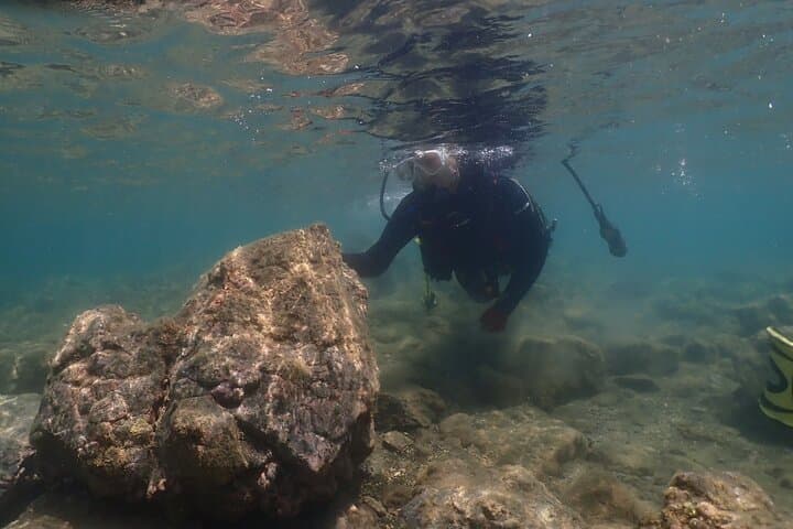 Kushimoto Scuba Diving: Introductory Dives at Japan’s Northernmost Coral Reefs photo 3
