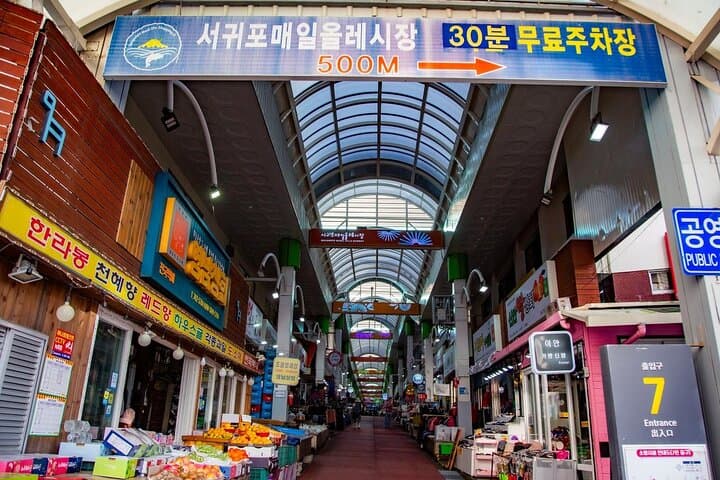 One-Day Seogwipo UNESCO Circuit: Cruise-Terminal Pickup to Coastal Cliffs photo 4