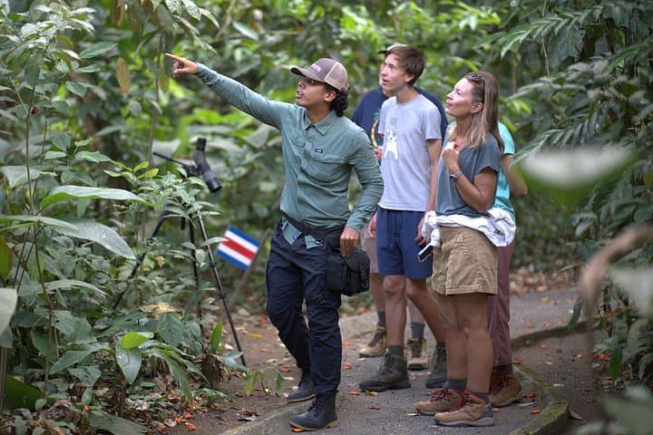 Arenal Sloth & Wildlife Nature Walk: Guided Safari Near La Fortuna photo 1