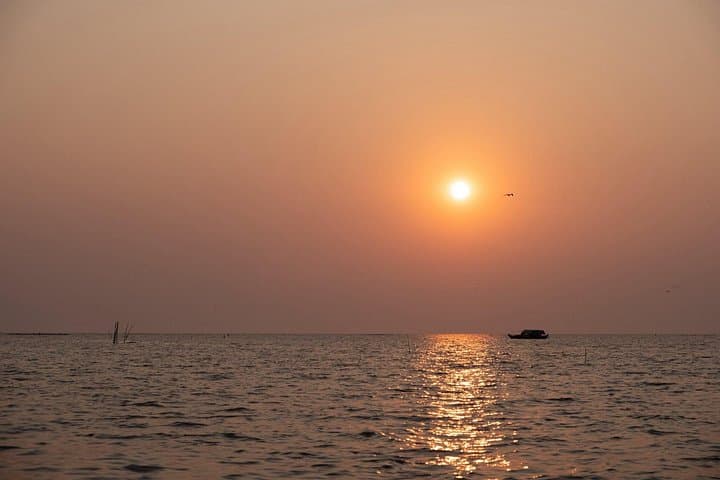 Kampong Phluk & Tonle Sap Small-Group Boat Tour — Flooded Village and Forest Experience photo 4