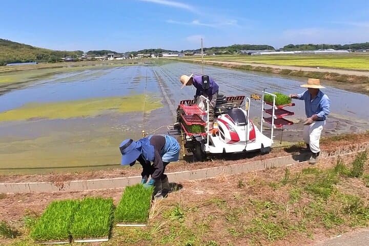 Munakata Coastline E‑Bike Tour: Sushi, Sake & Miyajidake Shrine photo 5