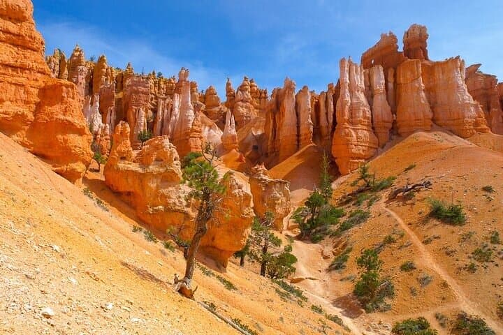 Epic 8-Day Southwest USA Adventure: From Las Vegas to Yellowstone photo 5
