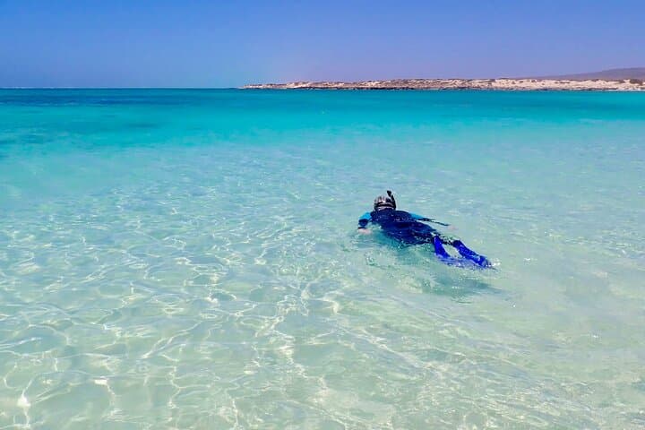 Ningaloo Full-Day Hike and Drift Snorkel at Turquoise Bay photo 4