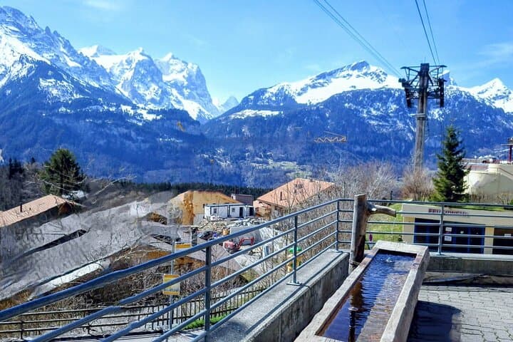 Mountain Coffee, Cable Car & CLOY Pier: Lake Brienz Sightseeing from Interlaken photo 4