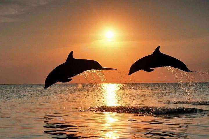 Taormina Sunset Cruise to Isola Bella — Dolphin-Spotting Evening Sail photo 3