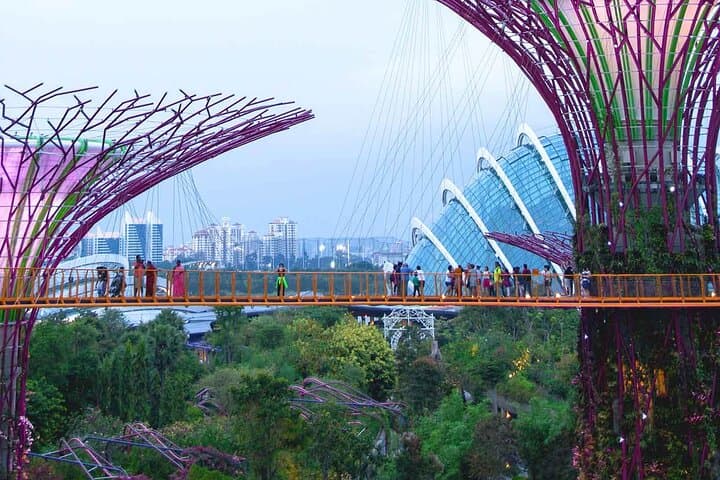 Sky-High Views at Singapore OCBC Skyway and Cloud Forest — Gardens by the Bay Guide