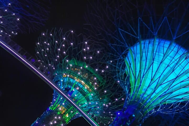 Sky-High Views at Singapore OCBC Skyway and Cloud Forest — Gardens by the Bay Guide photo 2