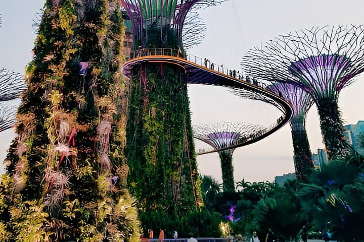 Sky-High Views at Singapore OCBC Skyway and Cloud Forest — Gardens by the Bay Guide photo 3