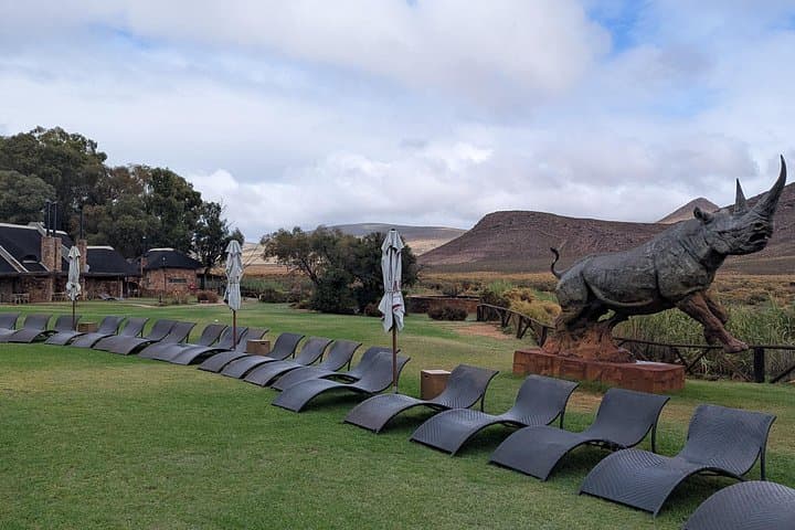 Aquila Game Reserve Big 5 Safari & Fairview Wine Tasting — Half-Day from Cape Town photo 4