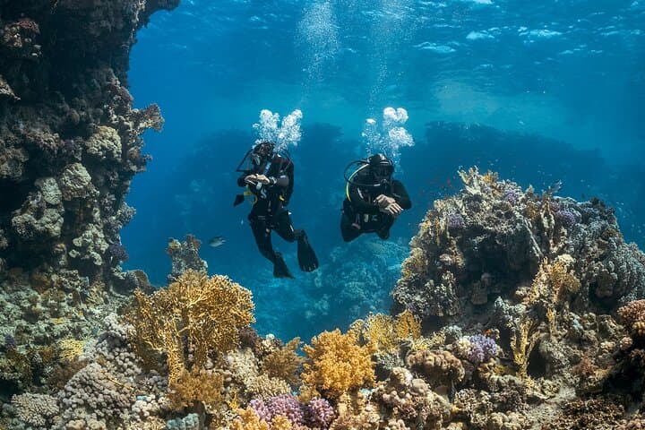 Aegean Double-Tank Scuba Diving: Reefs, Wrecks & Caves off Paros