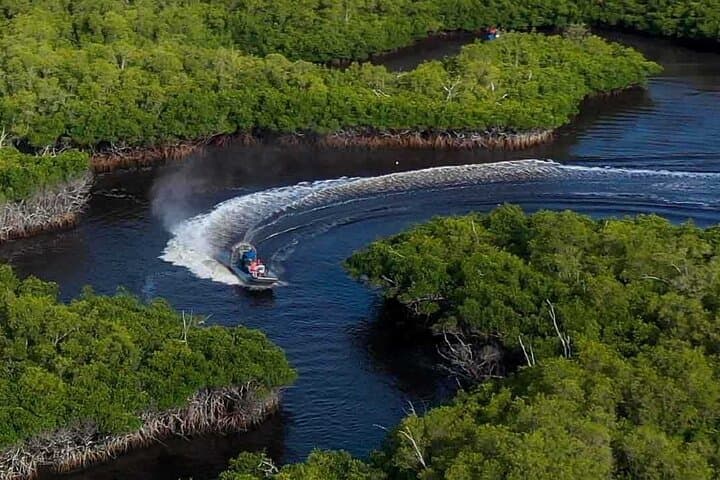 Miami Everglades Airboat Adventure & Biscayne Bay Day Trip photo 6