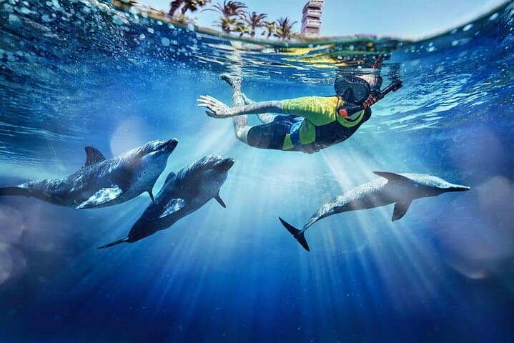 Atlantis Aquaventure Dubai: Ultimate Waterpark Tickets & Tips