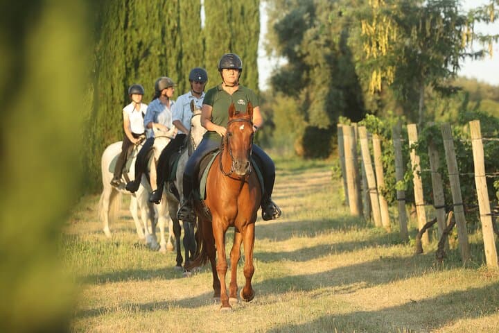 Horse Riding and Wine Tasting in l'Empordà — Ride Vineyards to Clos de Basella