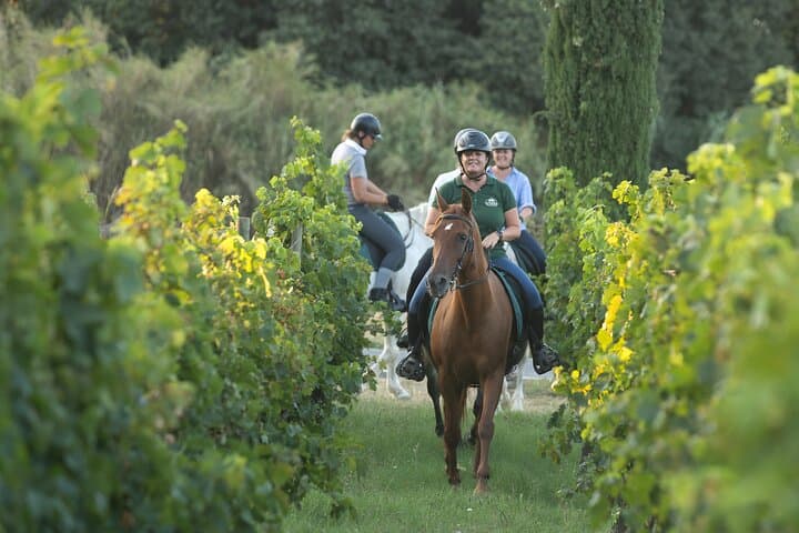 Horse Riding and Wine Tasting in l'Empordà — Ride Vineyards to Clos de Basella photo 2