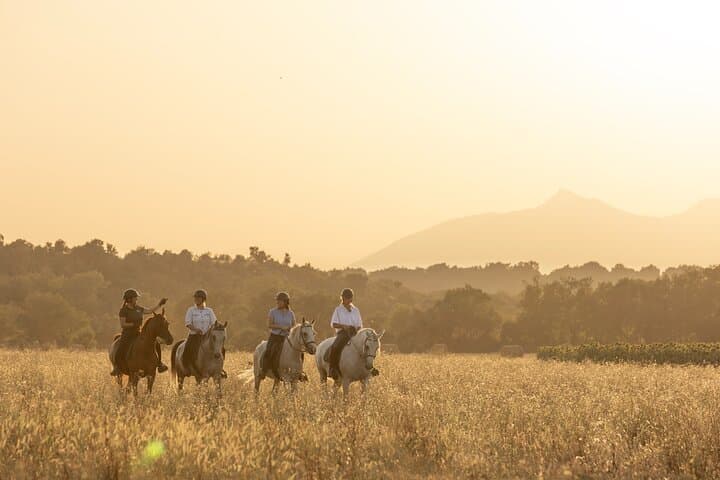 Horse Riding and Wine Tasting in l'Empordà — Ride Vineyards to Clos de Basella photo 3