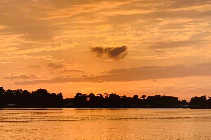 Winter Haven Chain of Lakes Pontoon Luncheon — 4-Hour Scenic Cruise photo 4