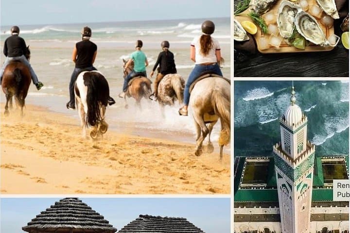Coastal Circuit: 25 km South Coast & Hassan II Mosque Day Tour, Casablanca photo 1