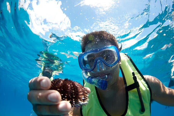 Mauna Kea Two-Stop Snorkel Adventure from Kawaihae Harbor
