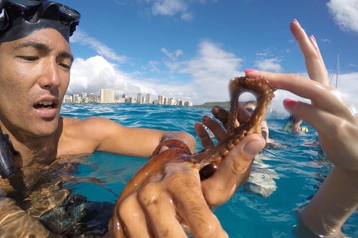Mauna Kea Two-Stop Snorkel Adventure from Kawaihae Harbor photo 4