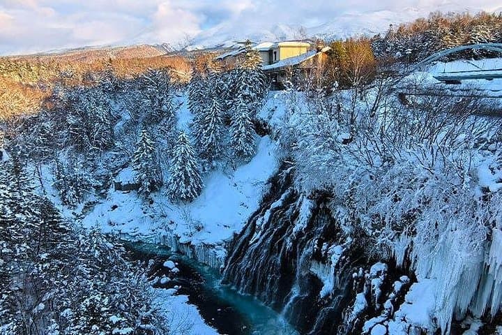 Asahiyama Zoo & Biei Blue Pond Day Tour — Shirahige Waterfall & Christmas Tree photo 4
