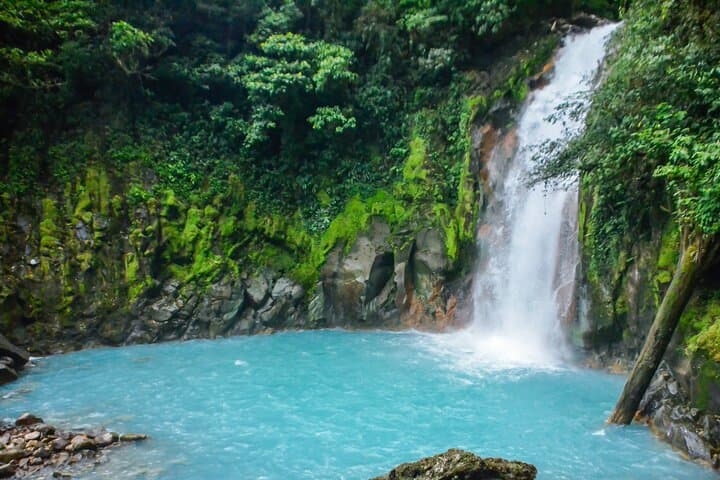 Hike Rio Celeste & Tenorio Volcano from La Fortuna: 7 km Jungle Trek to the Turquoise Falls