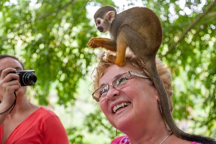 Monkeyland Samaná Shared Adventure: Up-Close Squirrel Monkey Encounter photo 2