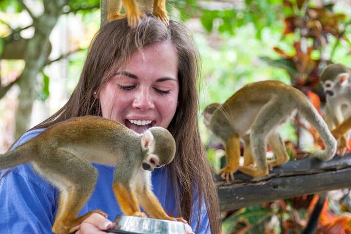 Monkeyland Samaná Shared Adventure: Up-Close Squirrel Monkey Encounter photo 3