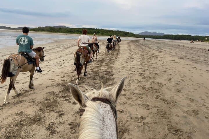 Tamarindo Beach Horseback Riding: Sunrise & Sunset Beach Tours photo 6