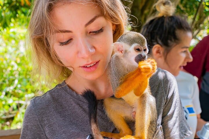 Monkeyland Samaná Shared Adventure: Up-Close Squirrel Monkey Encounter photo 4