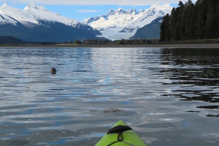Sea Kayaking Near Mendenhall Glacier: Small-Group Juneau Adventure photo 5