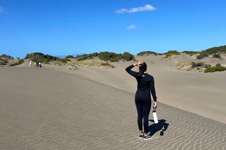 Dunes and Reefs: Sandboarding & Snorkeling Near Santo Domingo