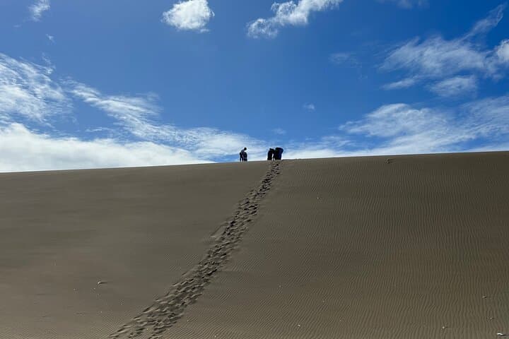 Dunes and Reefs: Sandboarding & Snorkeling Near Santo Domingo photo 2