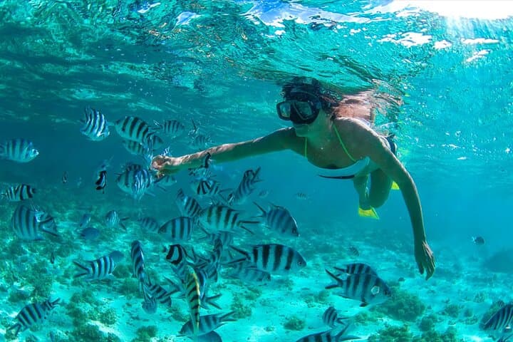 Dunes and Reefs: Sandboarding & Snorkeling Near Santo Domingo photo 4