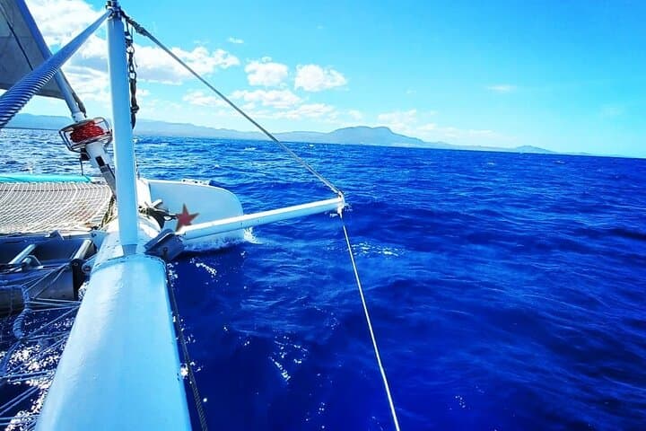 Sosúa Catamaran Snorkeling and Sailing Day Trip from Puerto Plata photo 5