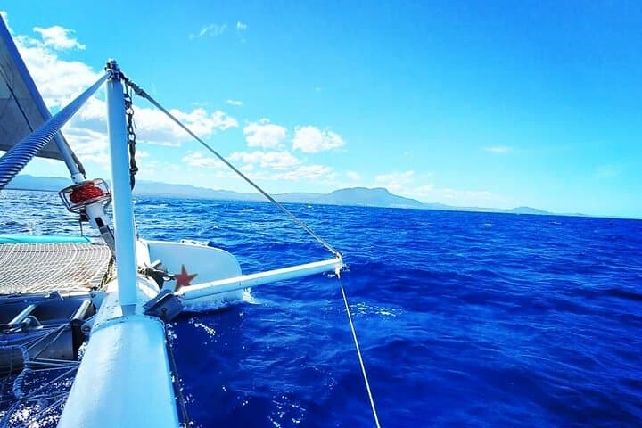Sail and Snorkel Sosua: Day Catamaran Excursion with Lunch and Open Bar photo 4