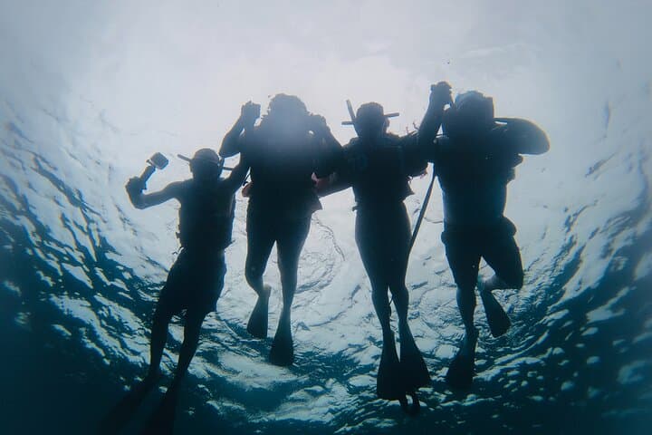 Sosua Snorkeling: Two Reefs and a Beach Day in the Dominican Republic photo 4