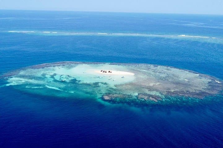 Punta Rucia & Cayo Arena: Full-Day Snorkel Trip from Puerto Plata photo 2