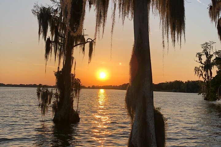 Winter Haven Pontoon Lake Tours: Waterski History, Wildlife & Lakeside Dining