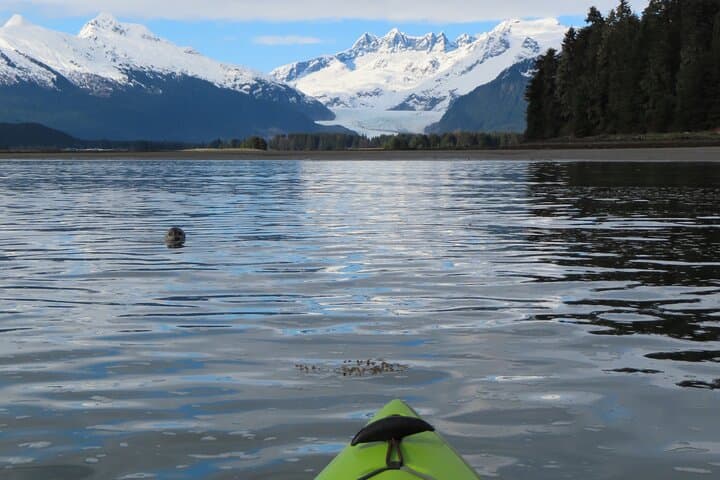 Kayak Mendenhall Glacier: Private Juneau Estuary Paddle with Wildlife photo 6