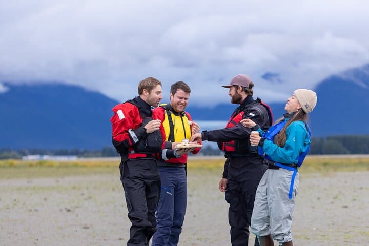 Kayak Mendenhall Glacier: Private Juneau Estuary Paddle with Wildlife